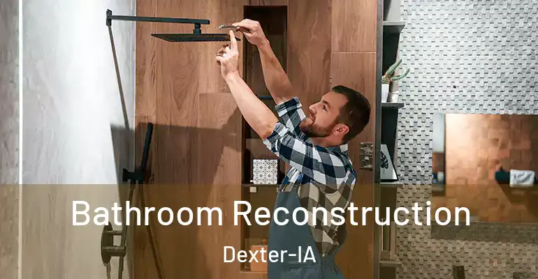 inner Bathroom imggen Bathroom Reconstruction Dexter-IA
