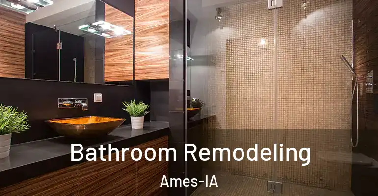 inner Bathroom imggen Bathroom Remodeling Ames-IA
