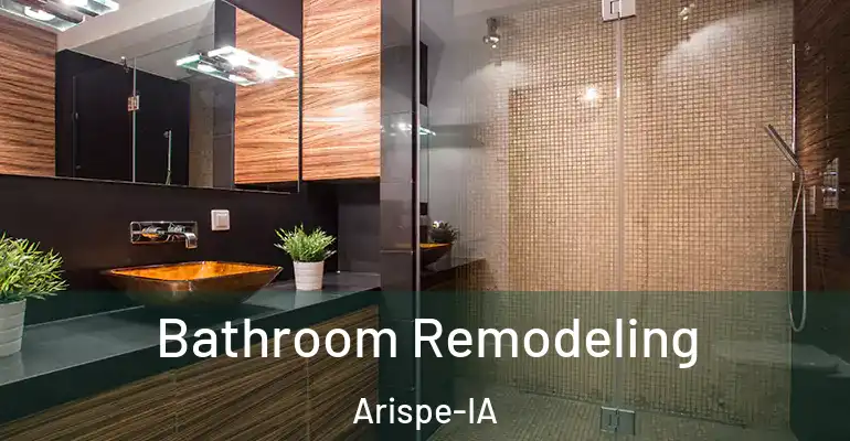 inner Bathroom imggen Bathroom Remodeling Arispe-IA