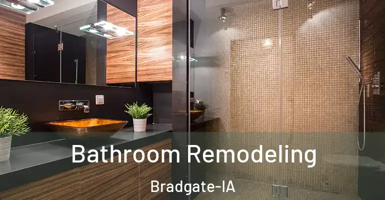 inner Bathroom imggen Bathroom Remodeling Bradgate-IA