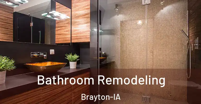 inner Bathroom imggen Bathroom Remodeling Brayton-IA