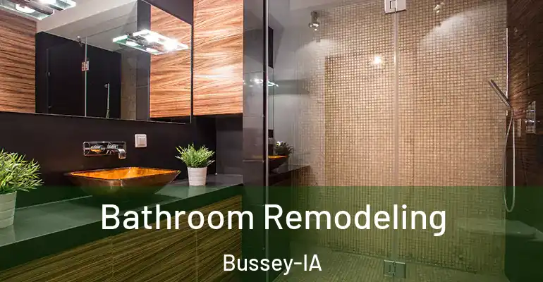 inner Bathroom imggen Bathroom Remodeling Bussey-IA