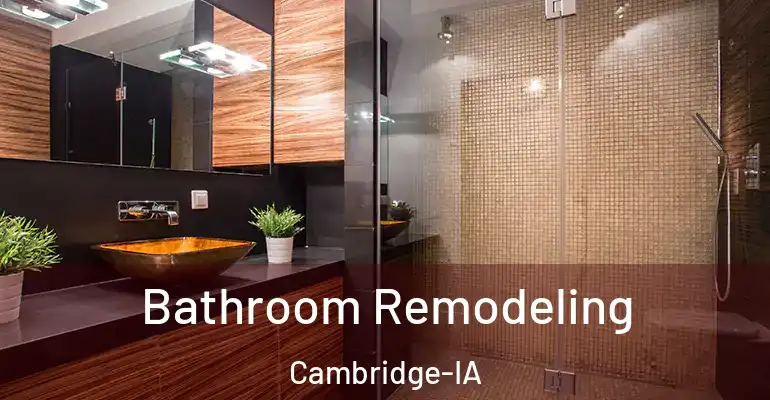 inner Bathroom imggen Bathroom Remodeling Cambridge-IA
