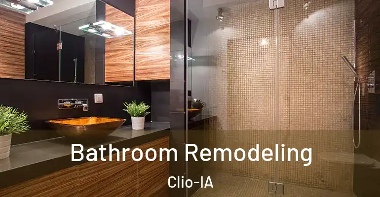 inner Bathroom imggen Bathroom Remodeling Clio-IA