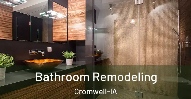 inner Bathroom imggen Bathroom Remodeling Cromwell-IA