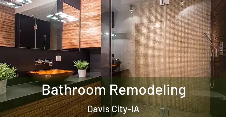 inner Bathroom imggen Bathroom Remodeling Davis City-IA