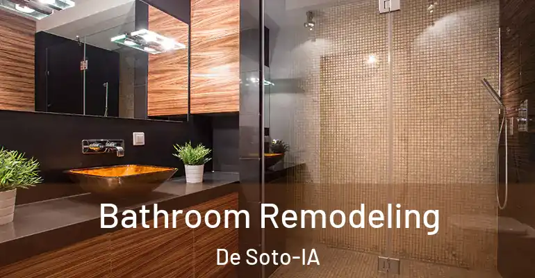inner Bathroom imggen Bathroom Remodeling De Soto-IA
