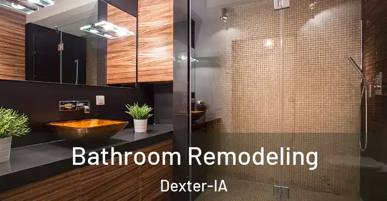 inner Bathroom imggen Bathroom Remodeling Dexter-IA
