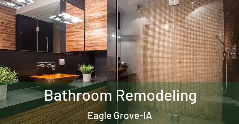 inner Bathroom imggen Bathroom Remodeling Eagle Grove-IA
