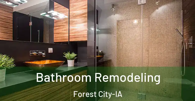 inner Bathroom imggen Bathroom Remodeling Forest City-IA