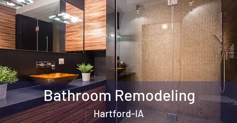 inner Bathroom imggen Bathroom Remodeling Hartford-IA