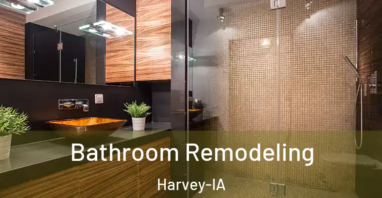 inner Bathroom imggen Bathroom Remodeling Harvey-IA