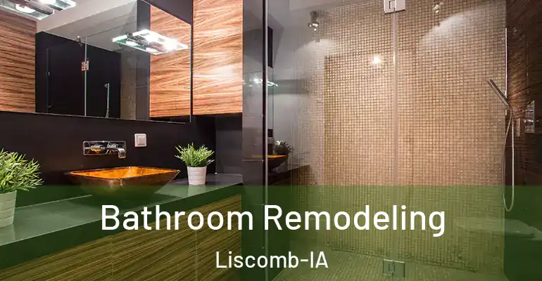 inner Bathroom imggen Bathroom Remodeling Liscomb-IA