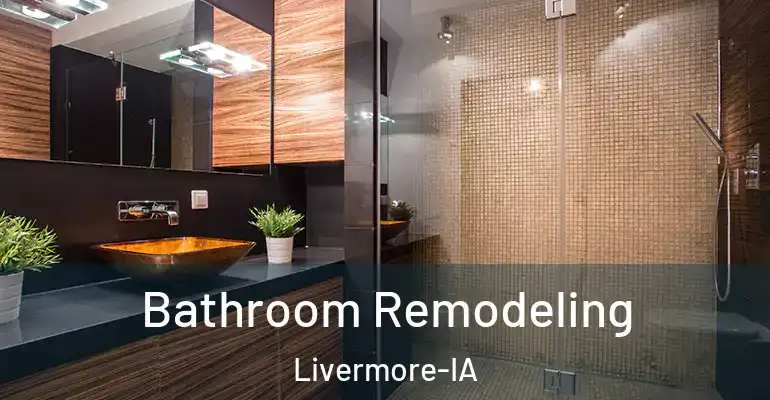 inner Bathroom imggen Bathroom Remodeling Livermore-IA