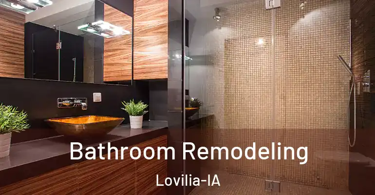 inner Bathroom imggen Bathroom Remodeling Lovilia-IA