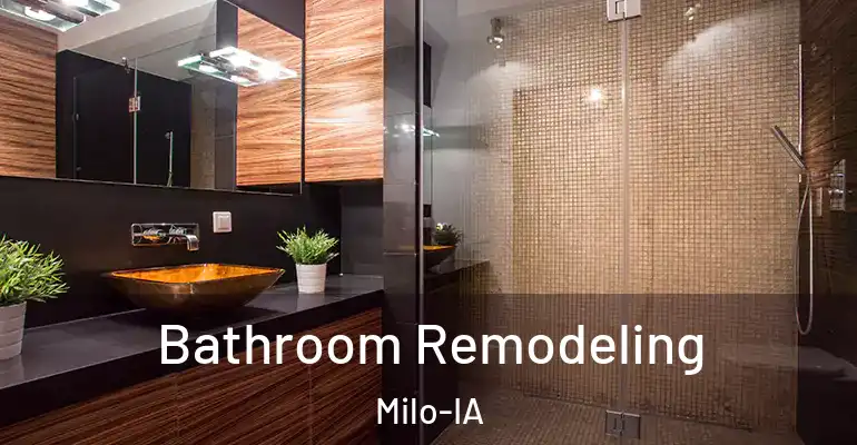 inner Bathroom imggen Bathroom Remodeling Milo-IA