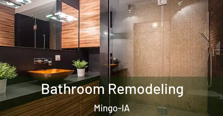 inner Bathroom imggen Bathroom Remodeling Mingo-IA