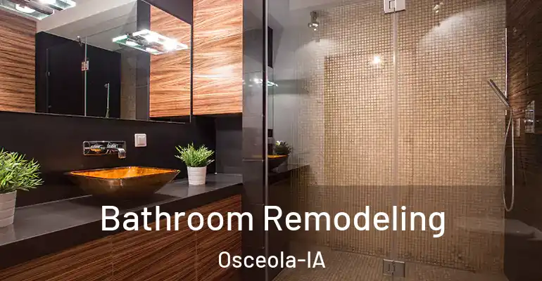 inner Bathroom imggen Bathroom Remodeling Osceola-IA