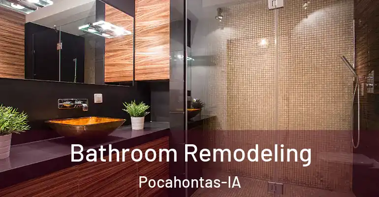 inner Bathroom imggen Bathroom Remodeling Pocahontas-IA