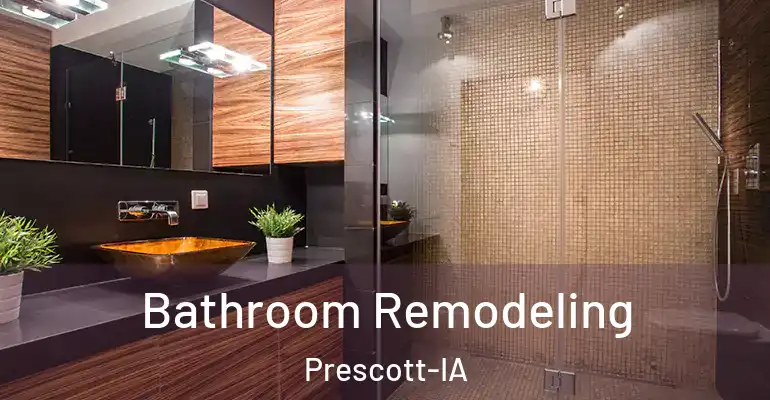 inner Bathroom imggen Bathroom Remodeling Prescott-IA