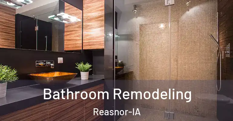 inner Bathroom imggen Bathroom Remodeling Reasnor-IA