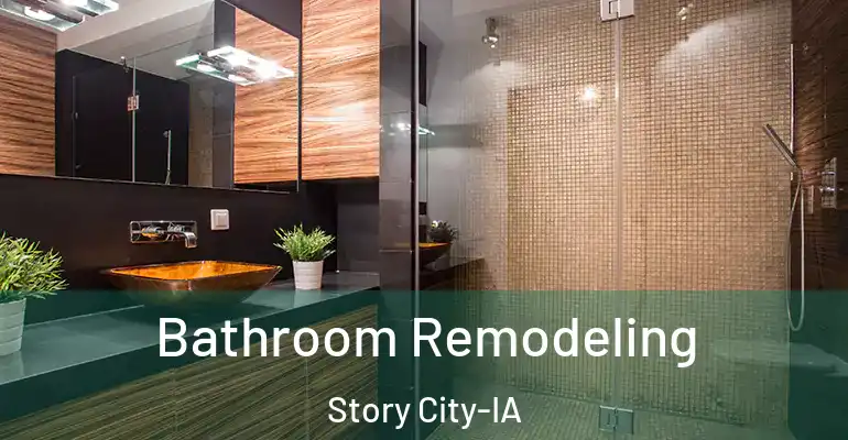 inner Bathroom imggen Bathroom Remodeling Story City-IA