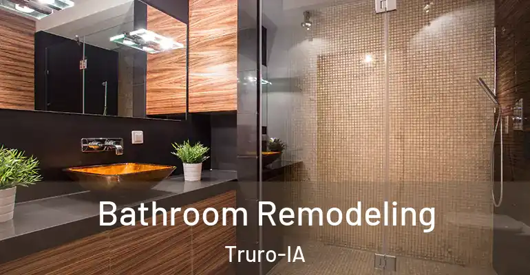 inner Bathroom imggen Bathroom Remodeling Truro-IA