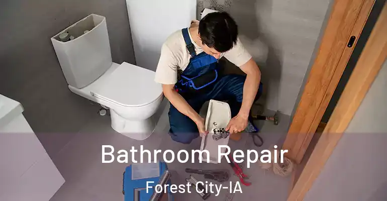 inner Bathroom imggen Bathroom Repair Forest City-IA