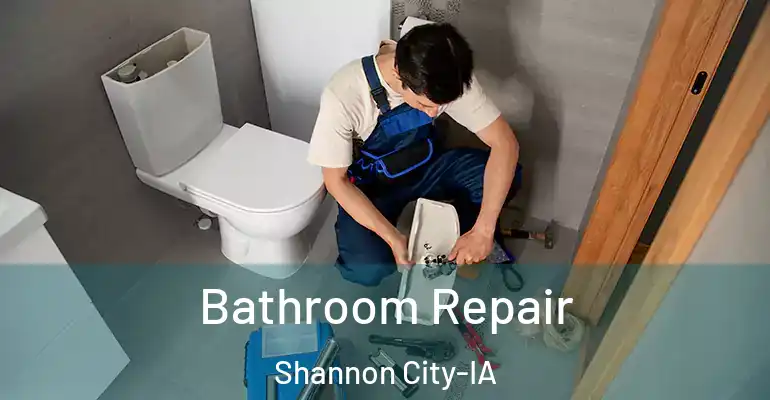 inner Bathroom imggen Bathroom Repair Shannon City-IA