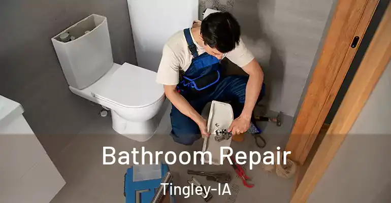 inner Bathroom imggen Bathroom Repair Tingley-IA