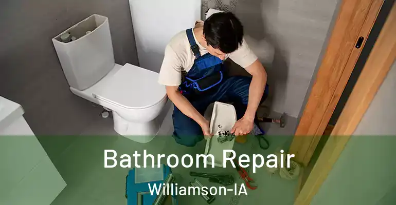 inner Bathroom imggen Bathroom Repair Williamson-IA