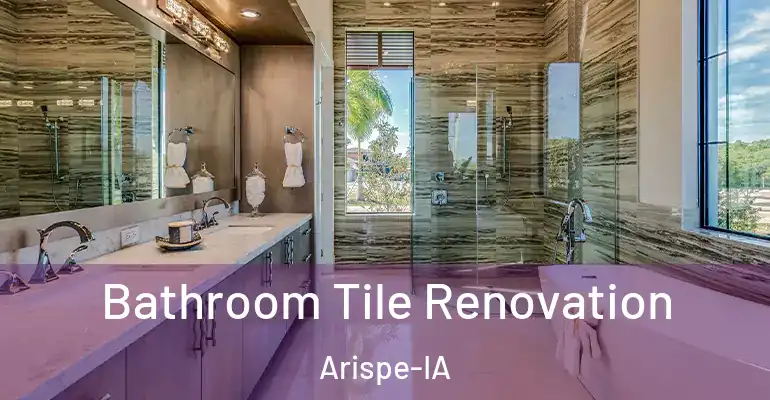 inner Bathroom imggen Bathroom Tile Renovation Arispe-IA