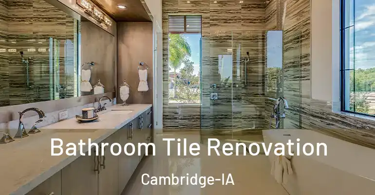 inner Bathroom imggen Bathroom Tile Renovation Cambridge-IA
