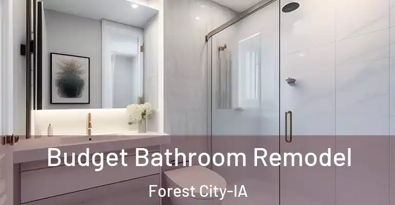 inner Bathroom imggen Budget Bathroom Remodel Forest City-IA