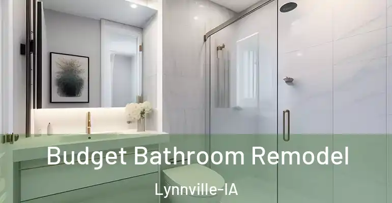 inner Bathroom imggen Budget Bathroom Remodel Lynnville-IA