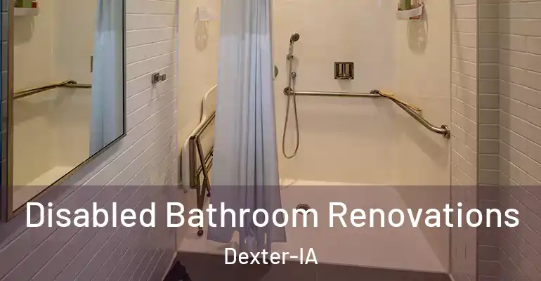 inner Bathroom imggen Disabled Bathroom Renovations Dexter-IA