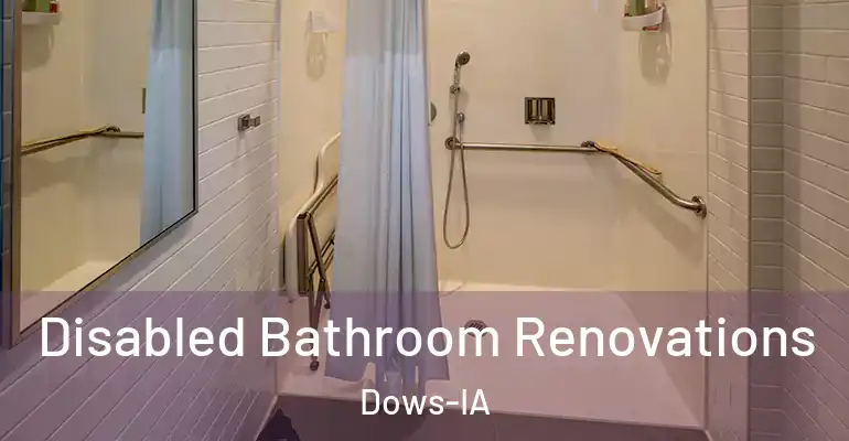 inner Bathroom imggen Disabled Bathroom Renovations Dows-IA