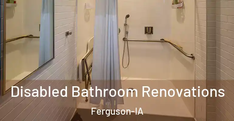 inner Bathroom imggen Disabled Bathroom Renovations Ferguson-IA