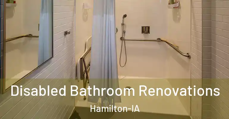 inner Bathroom imggen Disabled Bathroom Renovations Hamilton-IA