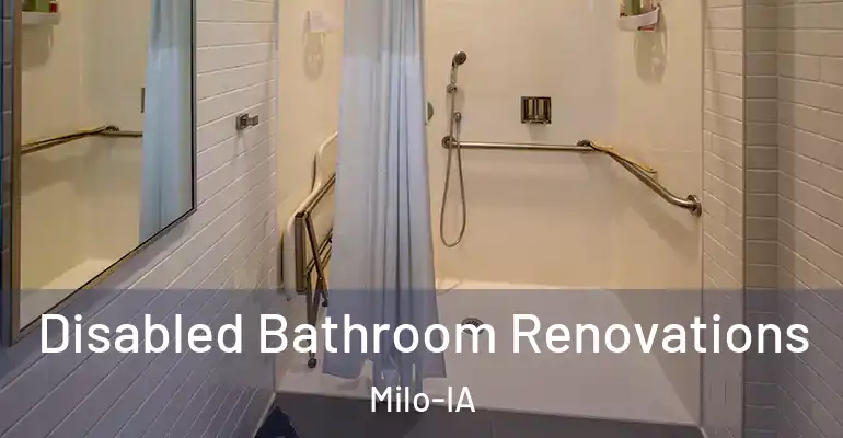 inner Bathroom imggen Disabled Bathroom Renovations Milo-IA