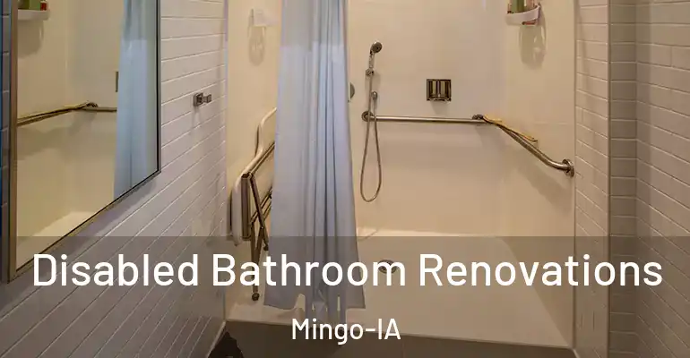 inner Bathroom imggen Disabled Bathroom Renovations Mingo-IA