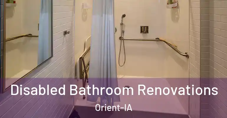 inner Bathroom imggen Disabled Bathroom Renovations Orient-IA