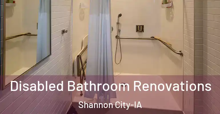 inner Bathroom imggen Disabled Bathroom Renovations Shannon City-IA