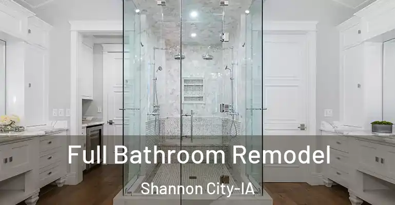 inner Bathroom imggen Full Bathroom Remodel Shannon City-IA
