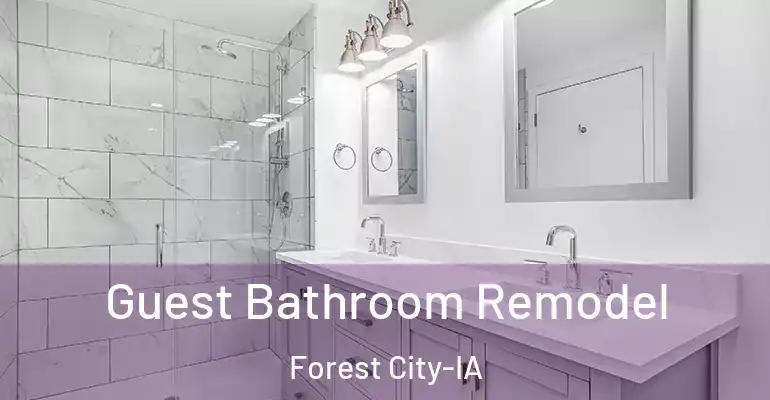 inner Bathroom imggen Guest Bathroom Remodel Forest City-IA