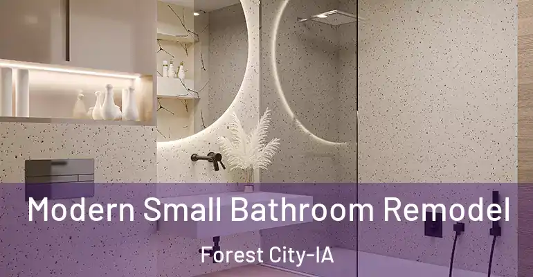 inner Bathroom imggen Modern Small Bathroom Remodel Forest City-IA