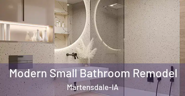 inner Bathroom imggen Modern Small Bathroom Remodel Martensdale-IA