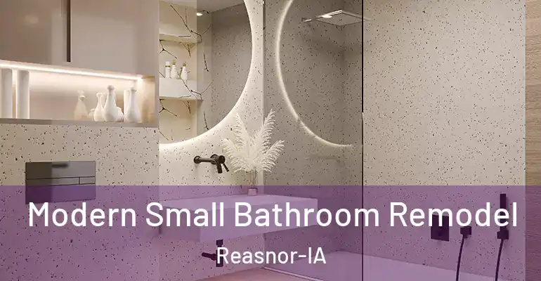 inner Bathroom imggen Modern Small Bathroom Remodel Reasnor-IA