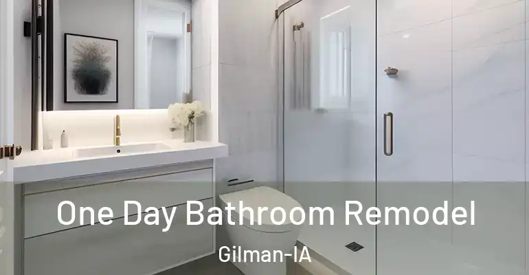 inner Bathroom imggen One Day Bathroom Remodel Gilman-IA