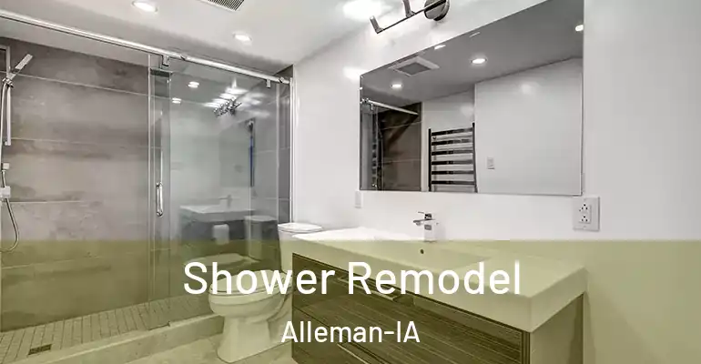 inner Bathroom imggen Shower Remodel Alleman-IA